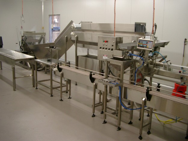 Olivepackingline